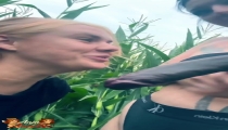 Wet, Wet, Wet Orgasm – Girls in the Cornfield