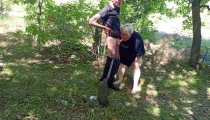 neighbor gives a public blowjob in the park