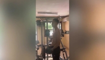 Fucking in Bali